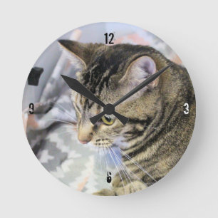 Katt Rund Klocka