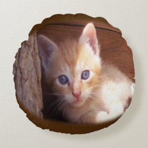 Katt Rund Kudde
