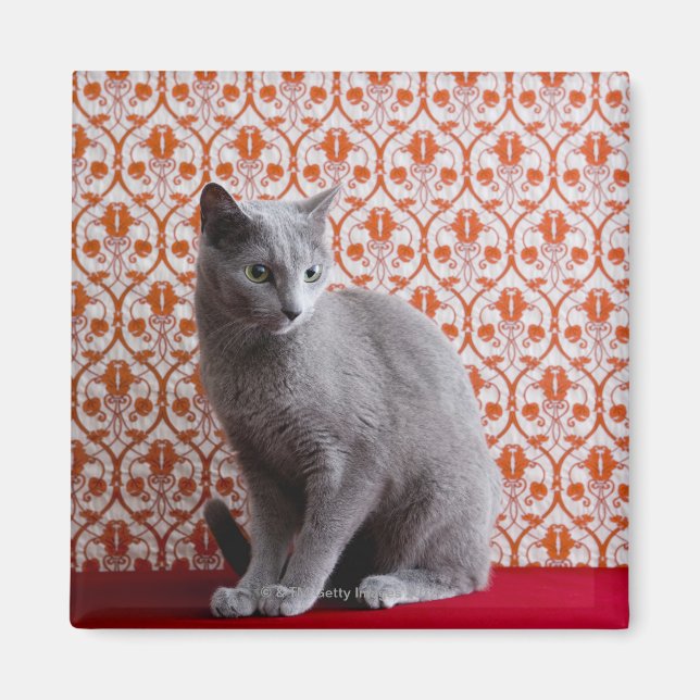 Katt (rysk blått) och tapet-bakgrund magnet (Framsidan)