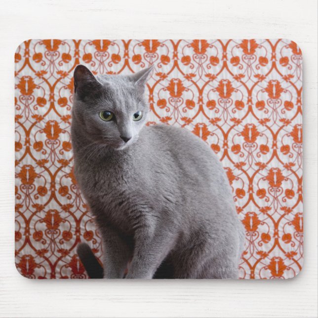 Katt (rysk blått) och tapet-bakgrund musmatta (Framsidan)