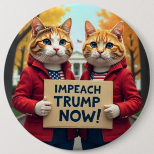 Katt säger Impeach Trump Knapp