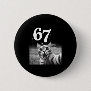 Katt Selfie Med 67 Meme Roliga Katter Grafik För M Knapp