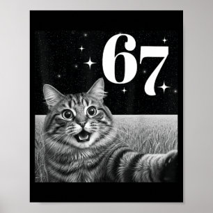Katt Selfie Med 67 Meme Roliga Katter Grafik För M Poster