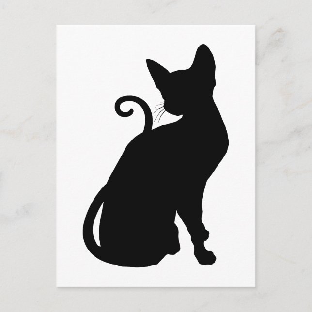 Katt Siluett Vykort (Framsida)
