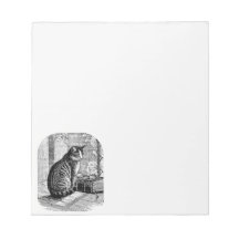 Katt Sitta efter fönster med Bok