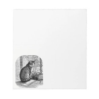 Katt Sitta efter fönster med Bok Anteckningsblock