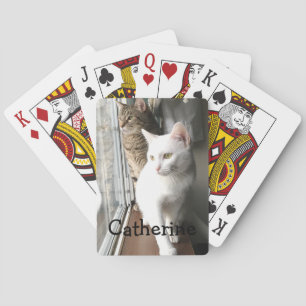 Katt Sitta efter fönstret Casinokort