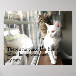 Katt Sitta efter fönstret Poster