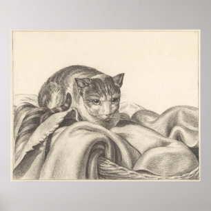 Katt sitta i basket 1802 poster