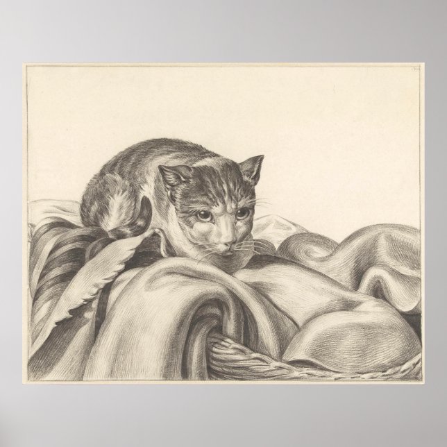 Katt sitta i basket 1802 poster (Framsidan)