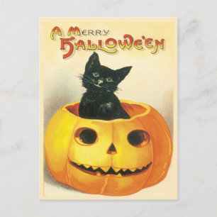Katt Sitta i ett pumpkin Vintage-vykort Vykort