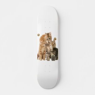 Katt Skateboard Bräda 20,5 Cm