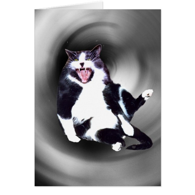 Katt skjutbar ned på kortet hälsningskort (Framsidan)