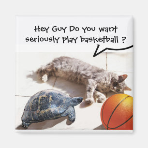 KATT, SKÖLDPADDA OCH BASKET MAGNET