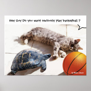 KATT, SKÖLDPADDA OCH BASKET POSTER