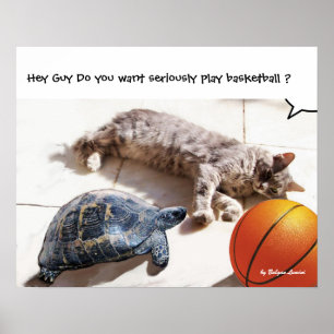 KATT, SKÖLDPADDA OCH BASKET POSTER
