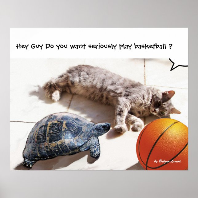 KATT, SKÖLDPADDA OCH BASKET POSTER (Framsidan)