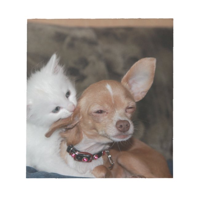 Katt slickande Hund Anteckningsblock (Framsida)