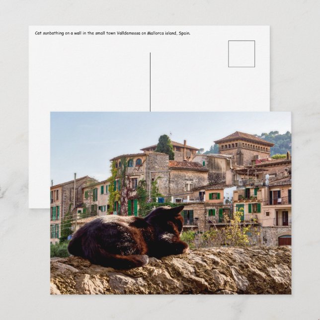 Katt solar sig på en mur - Valldemossa, Mallorca Vykort (Fram/baksida)
