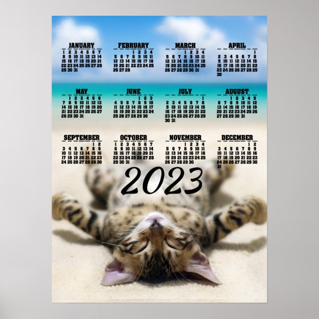 Katt solar sig på stranden 2023 Kalendrar Poster (Framsidan)