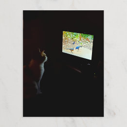 Katt som älskar sin skärmtid vykort