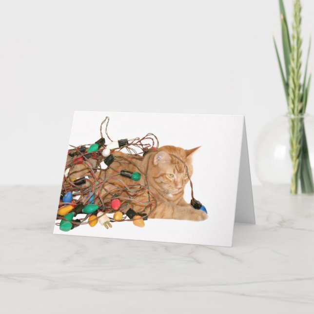 Katt som är insnärjt i ljus helgkort (Framsida)