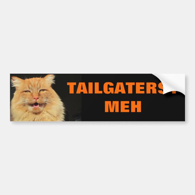 Katt som är unimpressed vid Tailgaters Bildekal (Framsidan)