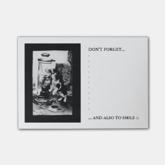 Katt som är uppfriskande i fontän post-it block