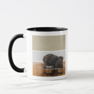 Katt som äter från bunken mugg
