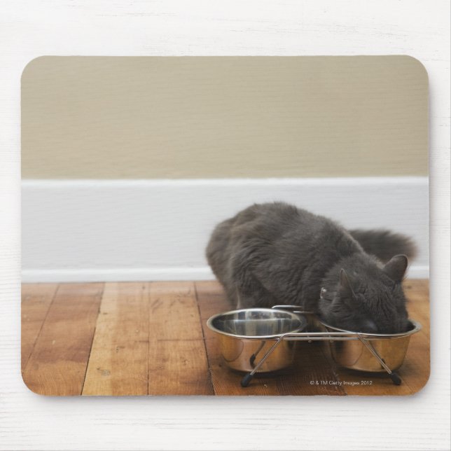 Katt som äter från tarm musmatta (Framsidan)