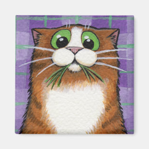 Katt som äter gräsmagneten magnet