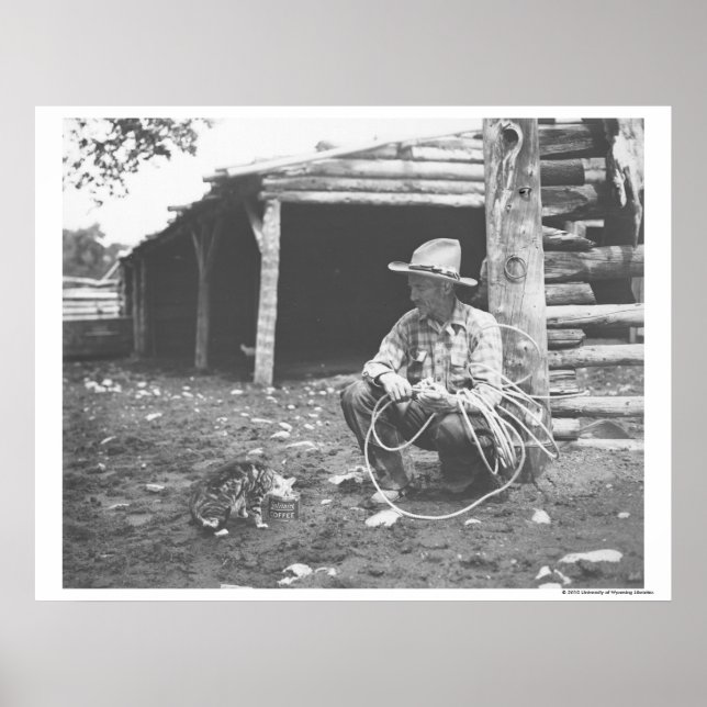 Katt som äter upp en kaffekanna. poster (Framsidan)