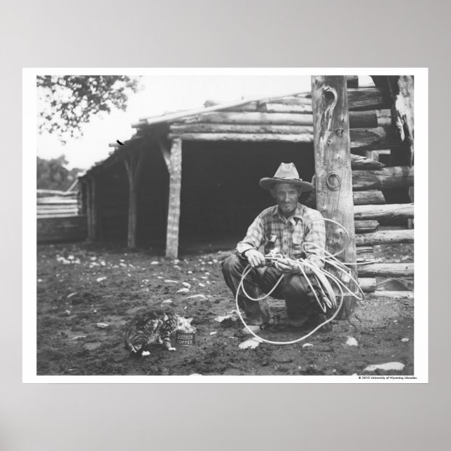 Katt som äter upp en kaffekanna poster (Framsidan)