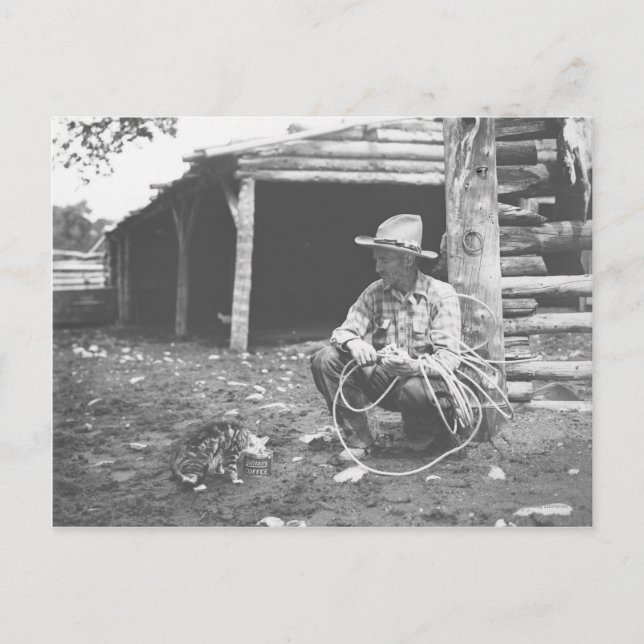 Katt som äter upp en kaffekanna. vykort (Framsida)