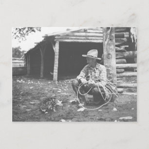 Katt som äter upp en kaffekanna. vykort