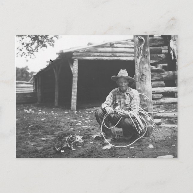 Katt som äter ut ur en kaffecan vykort (Framsida)