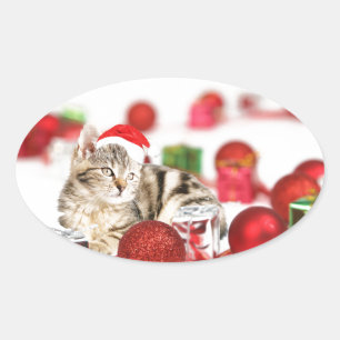 Katt som bär röd tomtehatt julgransprydnad ovalt klistermärke