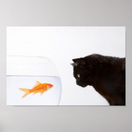 Katt som börjar på goldfish print poster