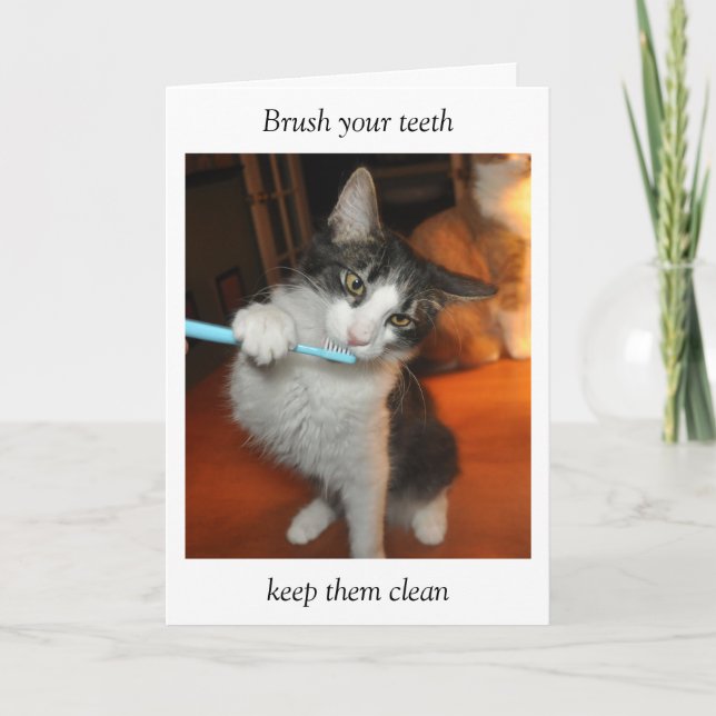 Katt som borstar tandkortet kort (Framsida)