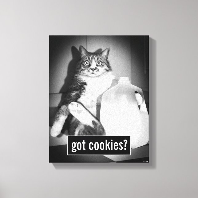 Katt som dricker Mjölk från jug Canvastryck (Framsida)