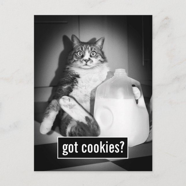 Katt som dricker Mjölk från jug Inbjudan Vykort (Framsida)