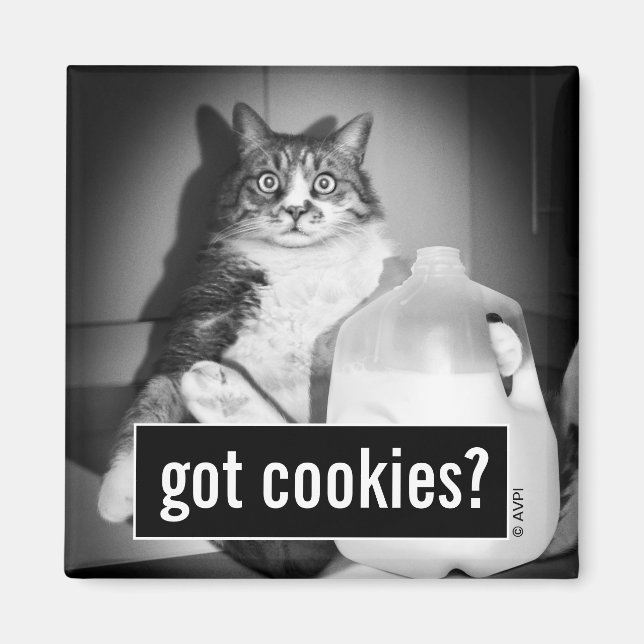 Katt som dricker Mjölk från jug Magnet (Framsidan)