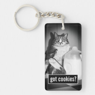 Katt som dricker Mjölk från sot