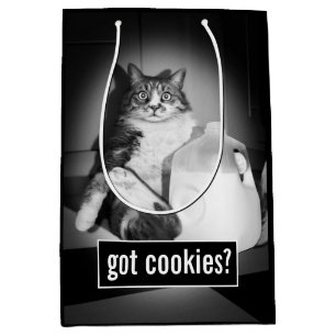 Katt som dricker Mjölk från sot
