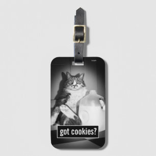 Katt som dricker Mjölk från sot Bagagebricka