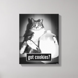 Katt som dricker Mjölk från sot Canvastryck
