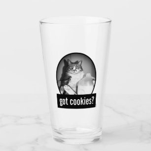 Katt som dricker Mjölk från sot Glaskopp
