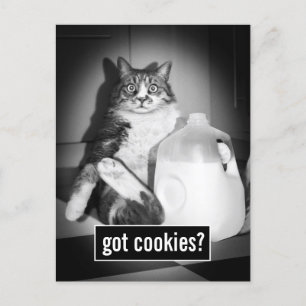 Katt som dricker Mjölk från sot Inbjudan Vykort