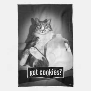 Katt som dricker Mjölk från sot Kökshandduk