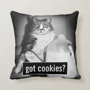 Katt som dricker Mjölk från sot Kudde